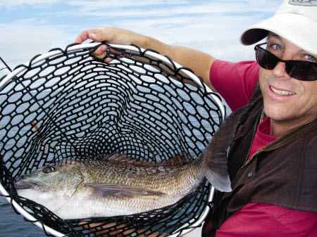 falling lures for snapper